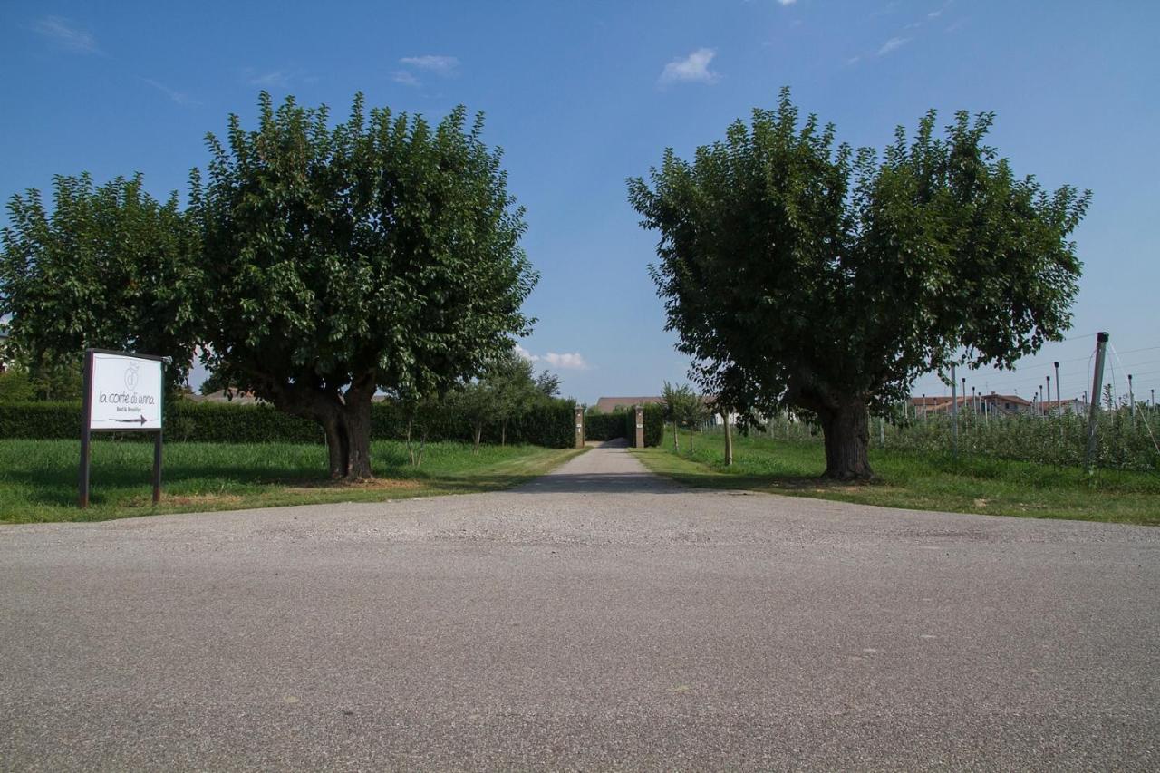 La Corte Di Anna Agriturismo San Giovanni Lupatoto Exterior foto
